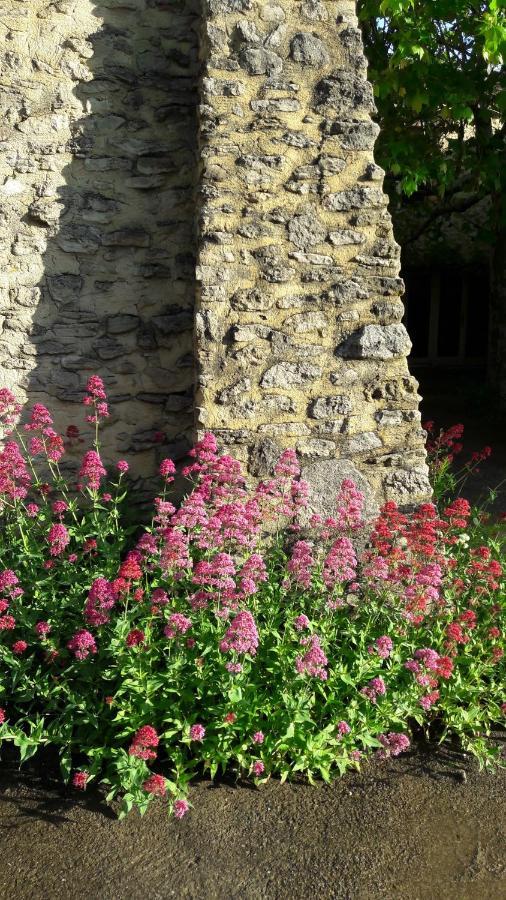 Gite Aux Tournesols Malaucène Exterior foto